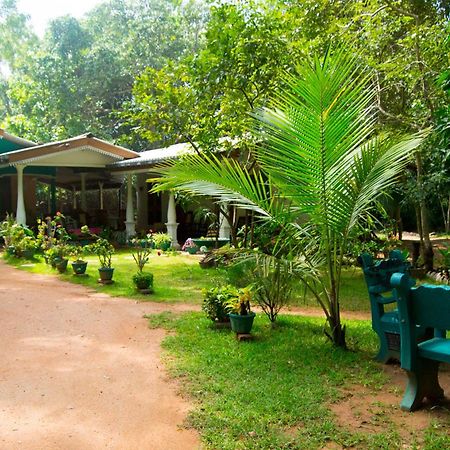 Sigiri Lodge Sigiriya Exteriör bild