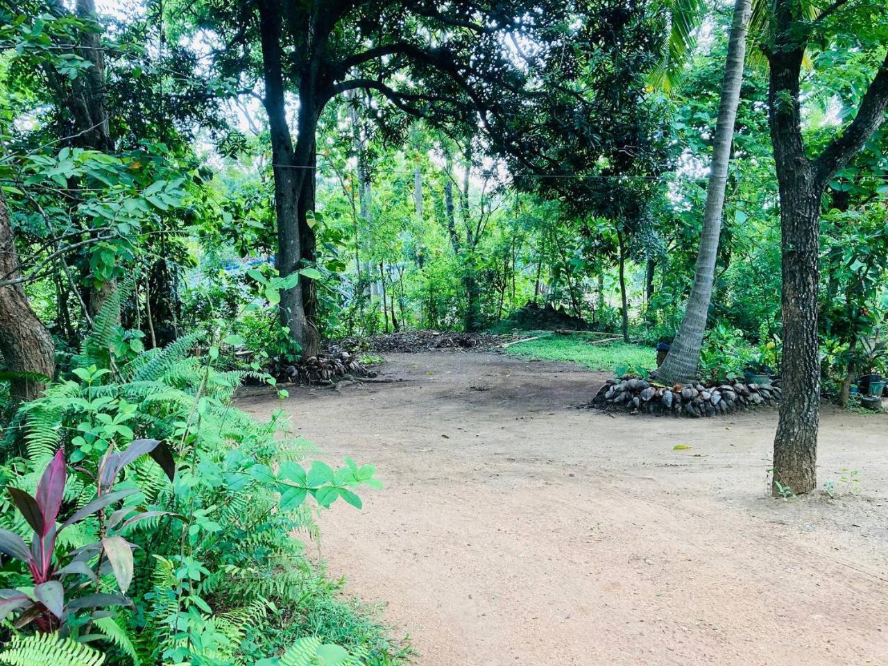 Sigiri Lodge Sigiriya Exteriör bild